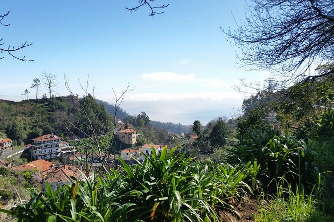 half-day-paradise-valley-walking-tour