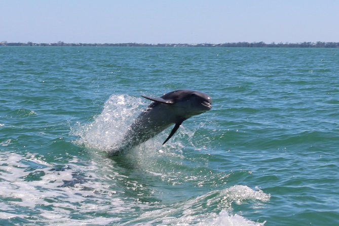half-day-private-boat-tour-2