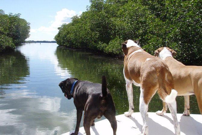half-day-private-boat-tour