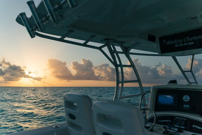 half-day-private-stingray-city-charter-grand-cayman-btc