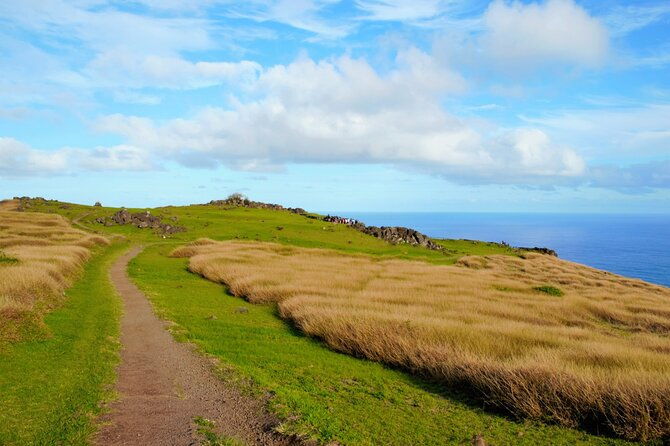 half-day-private-tour-rano-kau-and-orongo-the-city-of-kings