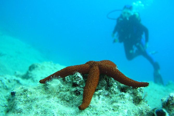 half-day-scuba-diving-experience-in-oludeniz-2