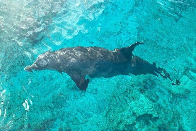 half-day-snorkeling-sightseeing-island-hopping-private-charter