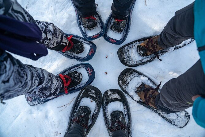 half-day-snowshoe-hike-in-tahoe-national-forest-2