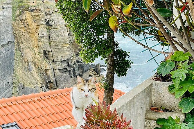 half-day-tour-in-cascais-sintra-with-brunch-and-wine-tasting-2