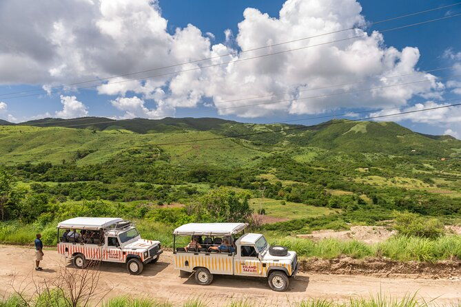 half-day-tour-island-safari-adventure-from-st-johns