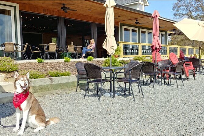 half-day-wine-tastings-in-the-north-georgia-mountains-2