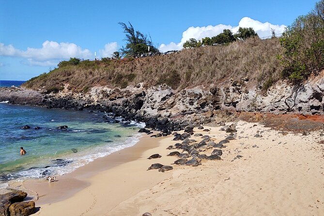 halfway-to-hana-private-tour-maui-blackbeach-waterfalls-turtles
