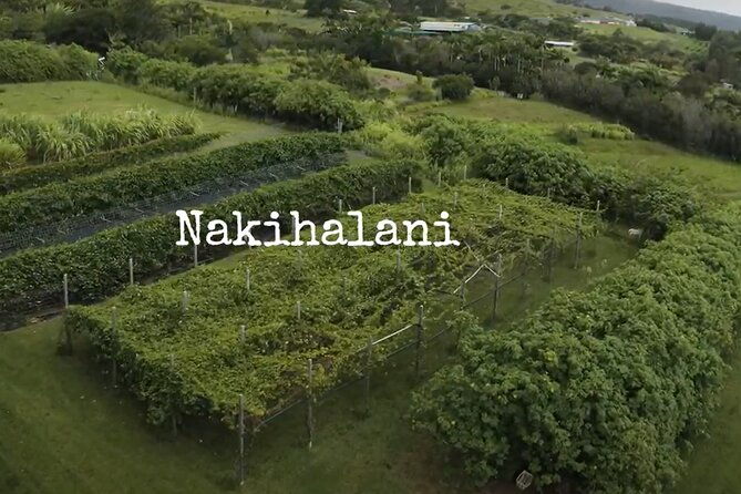 hamakua-coast-farm-small-group-walking-and-tasting-tour