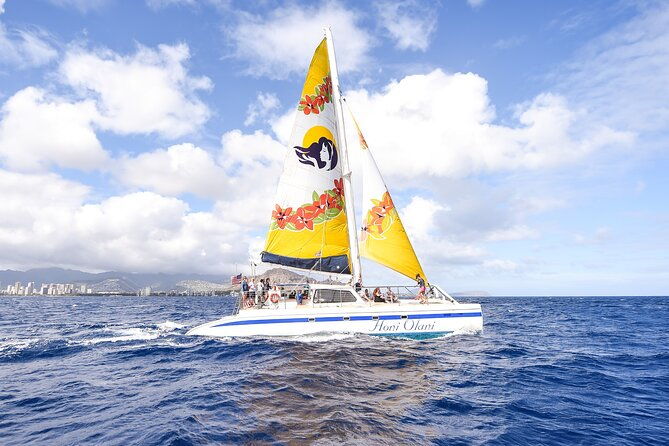 hawaiian-sea-turtles-and-snorkeling-experience-in-kona-with-lunch