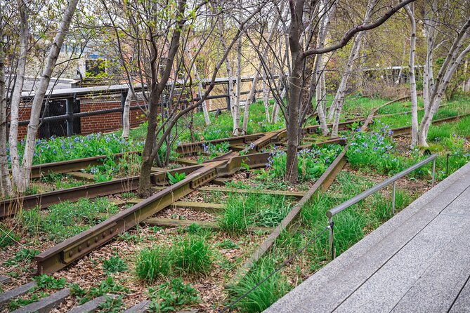 high-line-and-chelsea-market-3-hour-private-tour-2