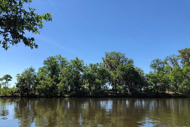 highlights-of-new-orleans-city-and-swamp-tour-combination