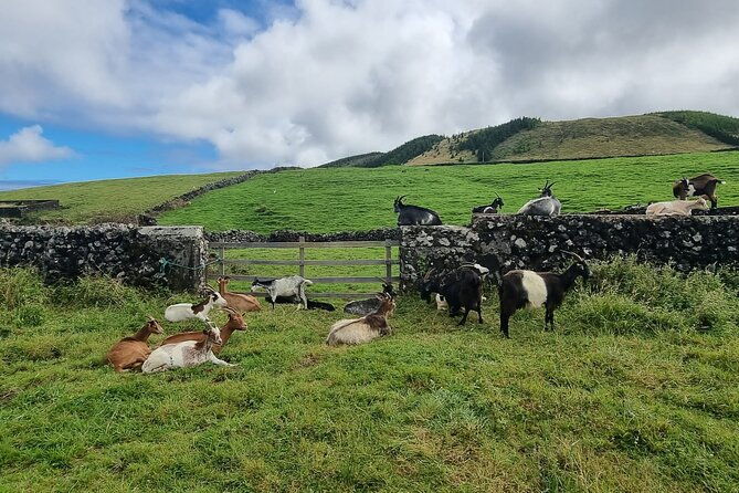 hike-3-hours-inland-terceira-island