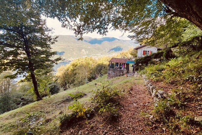 hike-in-blevios-forest-for-a-private-yoga-class