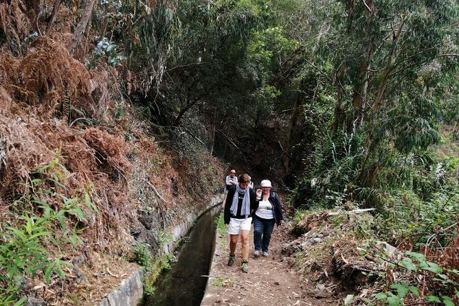 hiking-and-trekking-tours-in-madeira