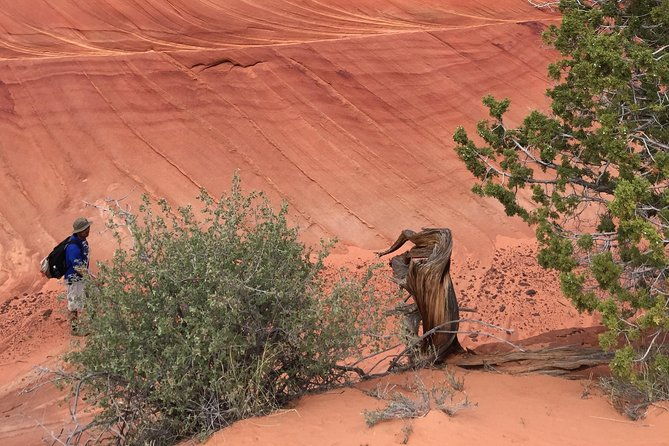 hiking-in-kanab-famous-teepees-of-vermilion-cliffs-national-monument-near-wave