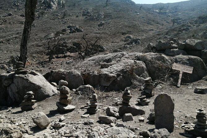 hiking-in-lima-lomas-de-lachay