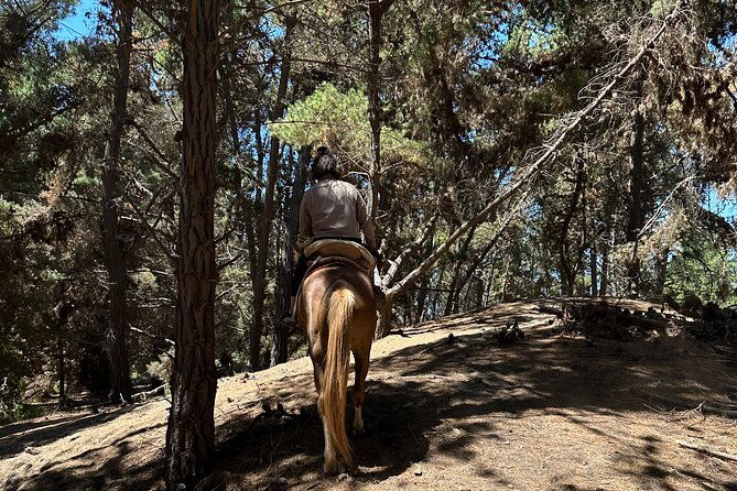 hiking-mauco-hill-horseride-ritoque-beachdunes-from-valparaiso