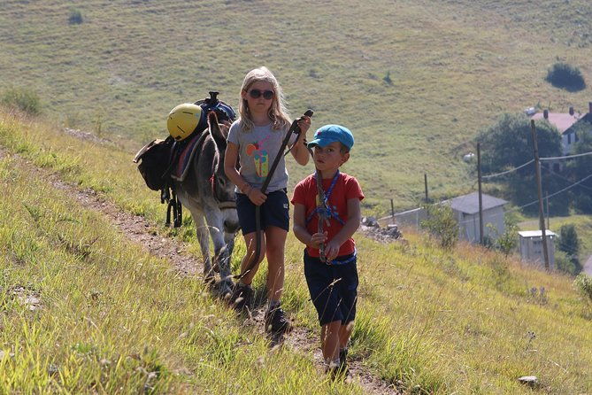hiking-with-donkeys