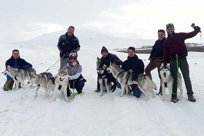 hiking-with-husky-in-akureyri