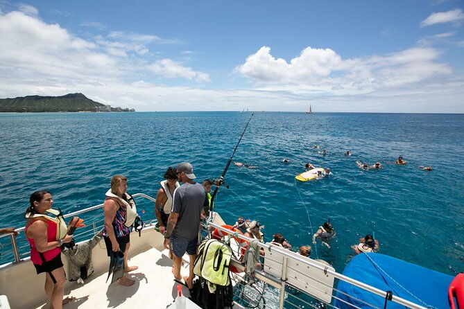 hilton-hawaiian-village-turtle-snorkel-with-optional-lunch