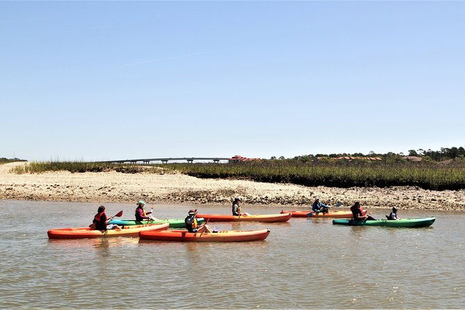 hilton-head-guided-kayak-eco-tour
