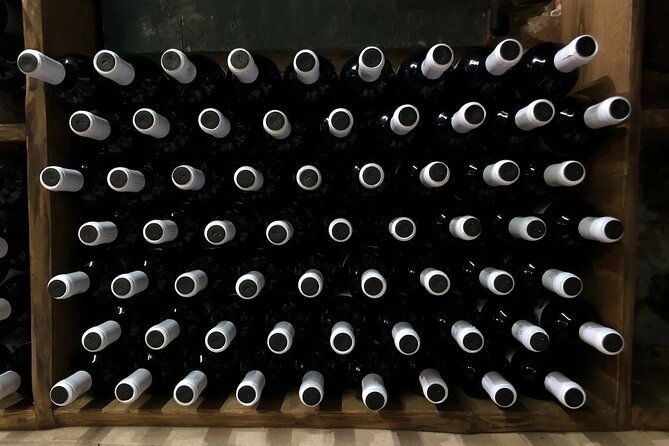 honest-wines-wine-tasting-at-cantina-biagiotti