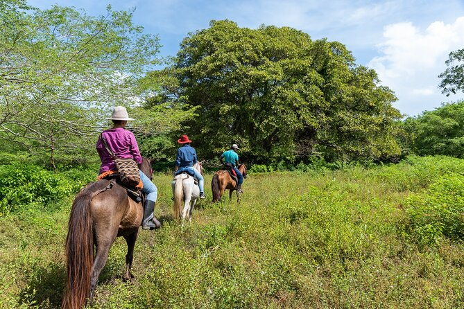 horse-riding-at-la-mello-adventure-lodge