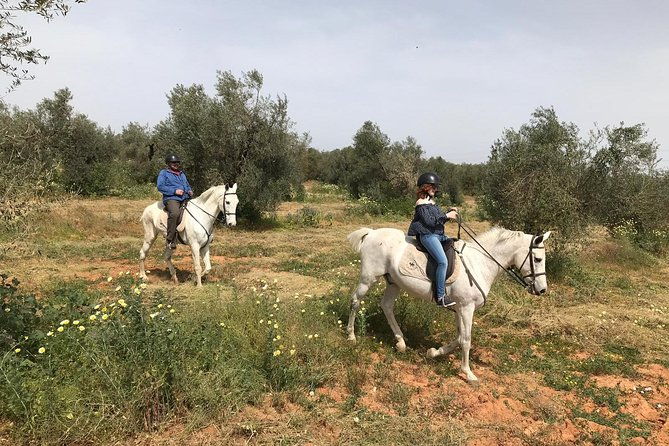 horse-riding-excursion-from-seville