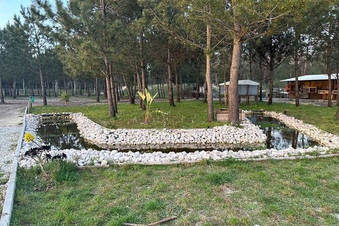 horse-riding-in-aveiro-ilhavo
