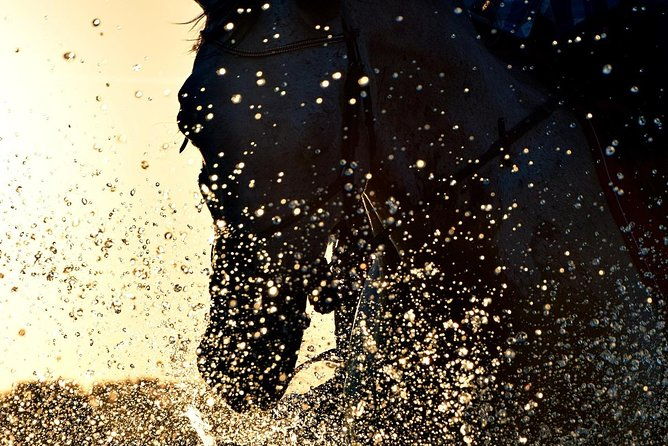 horse-riding-on-the-beach-rhodes