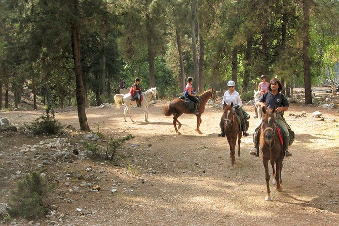 horse-riding-tour-in-bodrum-with-hotel-pick-up