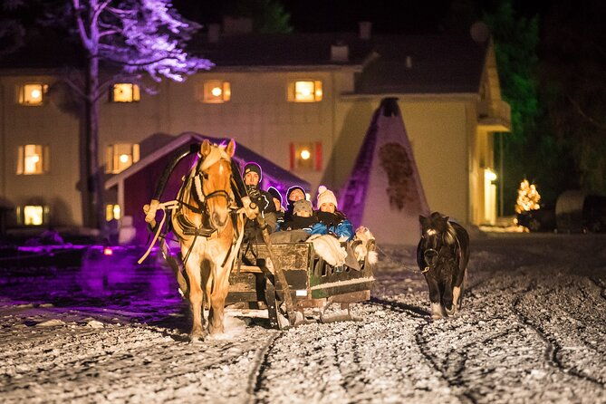 horse-sleigh-ride-under-the-night-sky-in-apukka-resort-rovaniemi