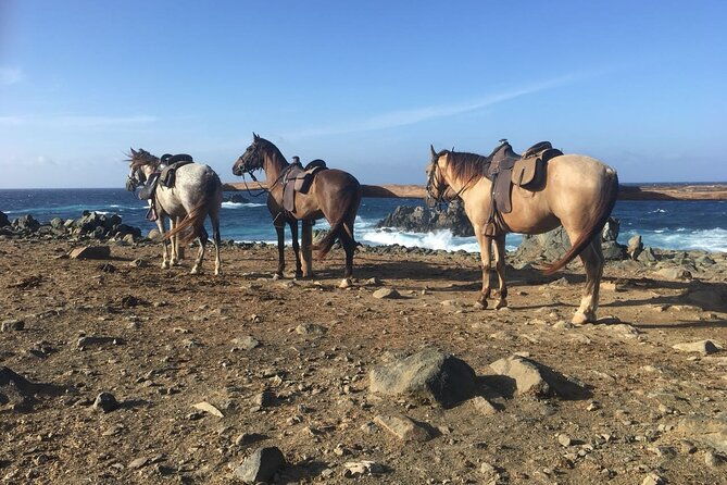 horseback-ride-tour-to-natural-pool-in-arikok-national-park