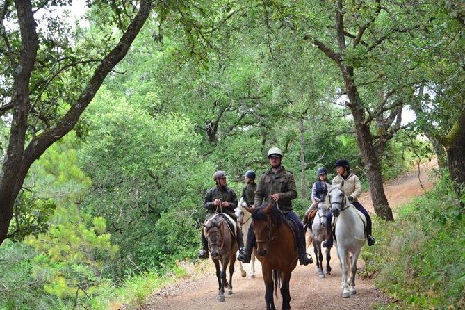 horseback-riding-4-options-mountain-lesson-ring-beach-2hours