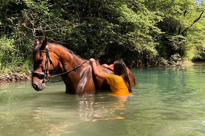 horseback-riding-across-river-ljuta-with-transport