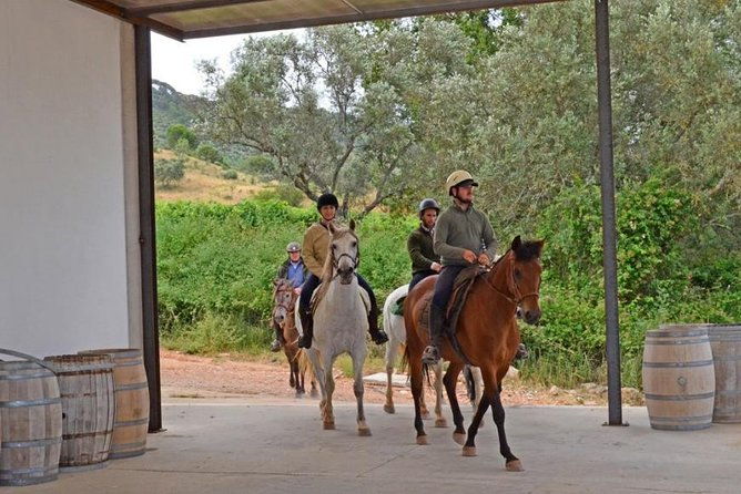horseback-riding-in-lisbon-arrabida-louro-trail-mountain-5-6-hours