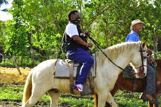 horseback-riding-in-the-dominican-jungle