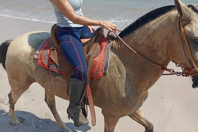 horseback-riding-on-the-beach-and-trails-2-hours