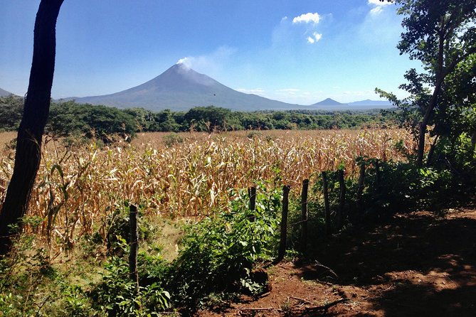 horseback-riding-private-tour