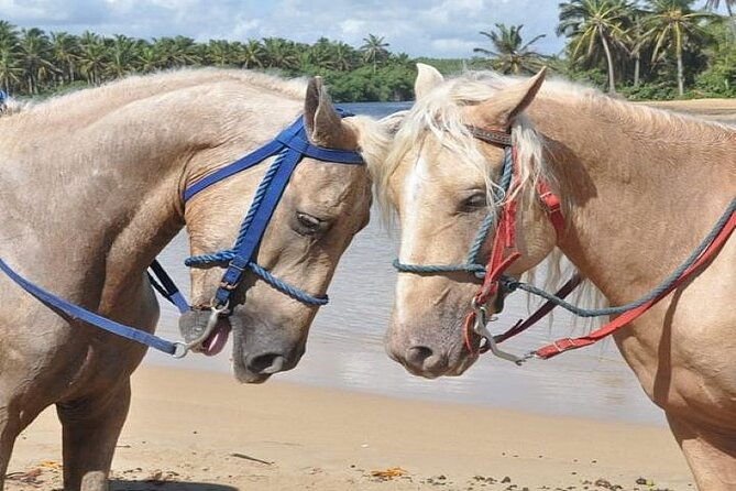 horseback-riding-to-maimon-river-from-punta-cana