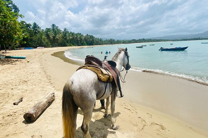 horseback-riding-tour-with-photoshoot-in-puerto-plata