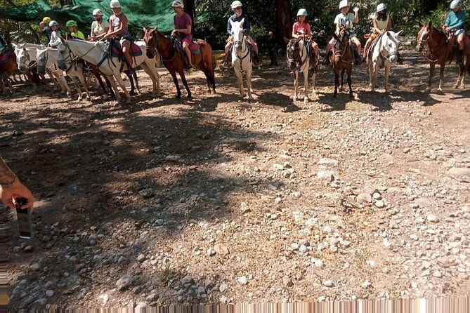 horseback-riding-tours-on-the-beach-mountain