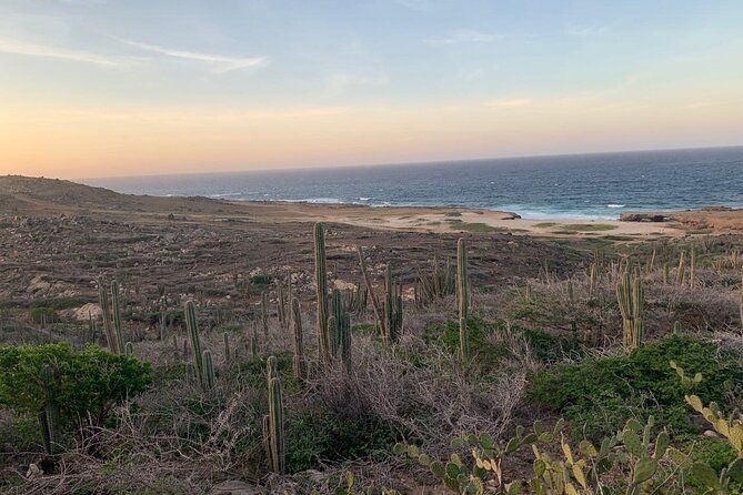horseback-riding-wariruri-beach-tour-in-aruba