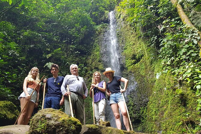 howler-monkey-tour-filandia-views-and-gastronomy