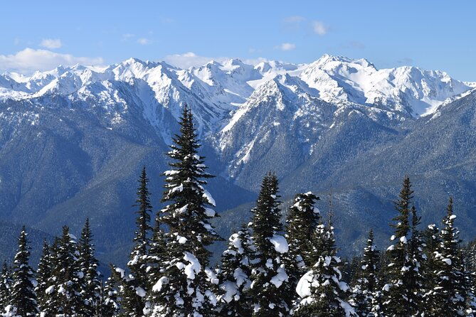 hurricane-ridge-guided-snowshoe-tour-in-olympic-national-park-2