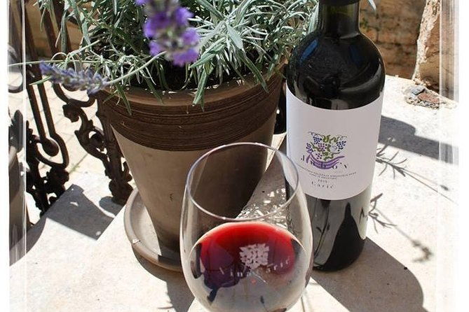 hvar-small-group-wine-tour-and-authentic-dalmatian-dinner