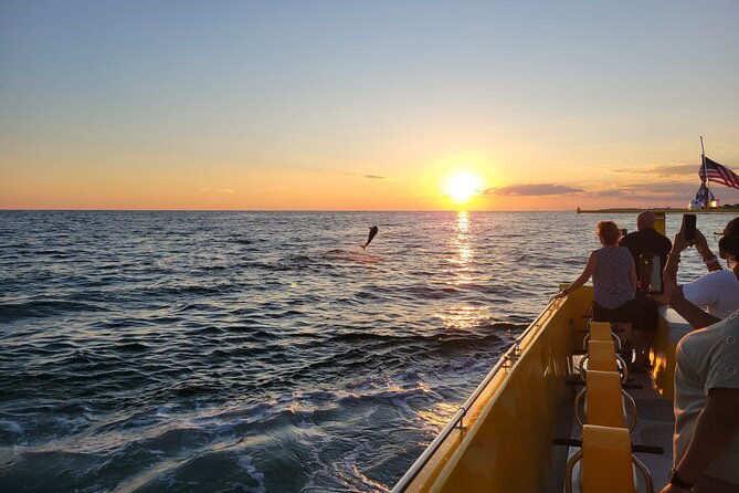 hydro-rocket-dolphin-sightseeing-boat-tour-from-destin