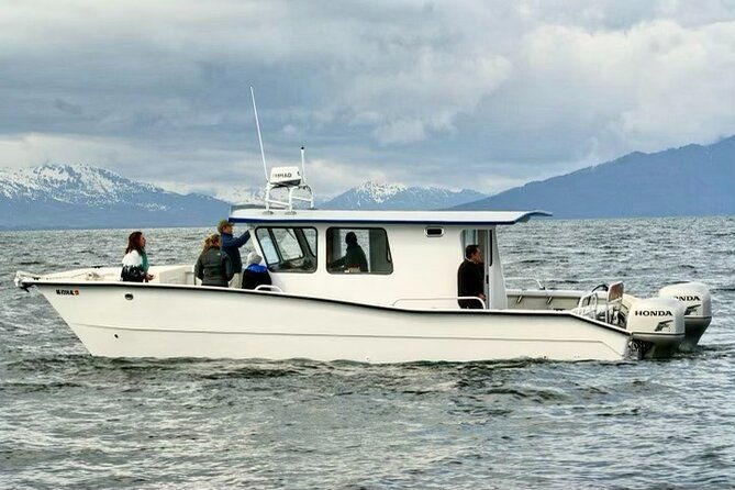 icy-strait-whale-wildlife-endeavor