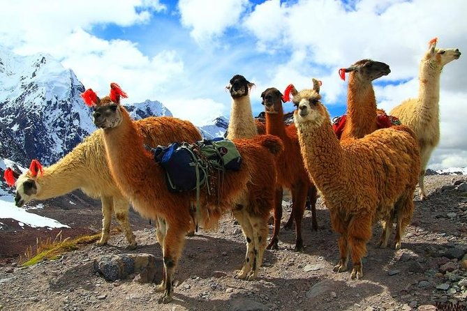 inca-hot-spring-day-tour